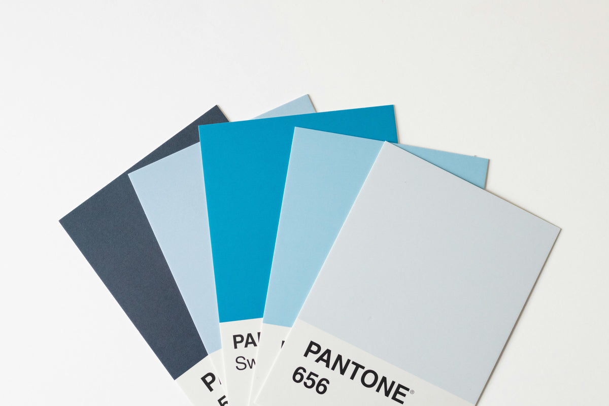 2026 Colour of the Year: Refresh Your Home with Spray Paint Trends ...