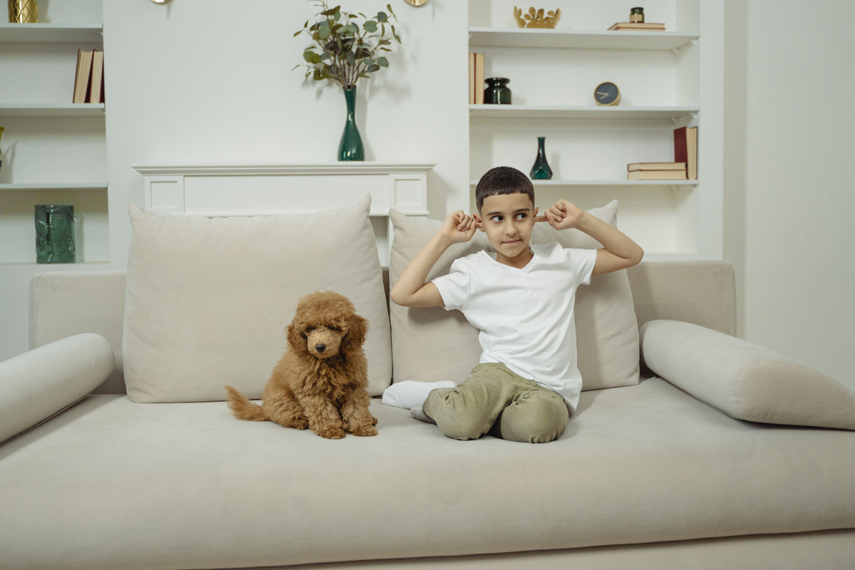 How To Keep Furniture Clean In A Home With Kids And Pets?