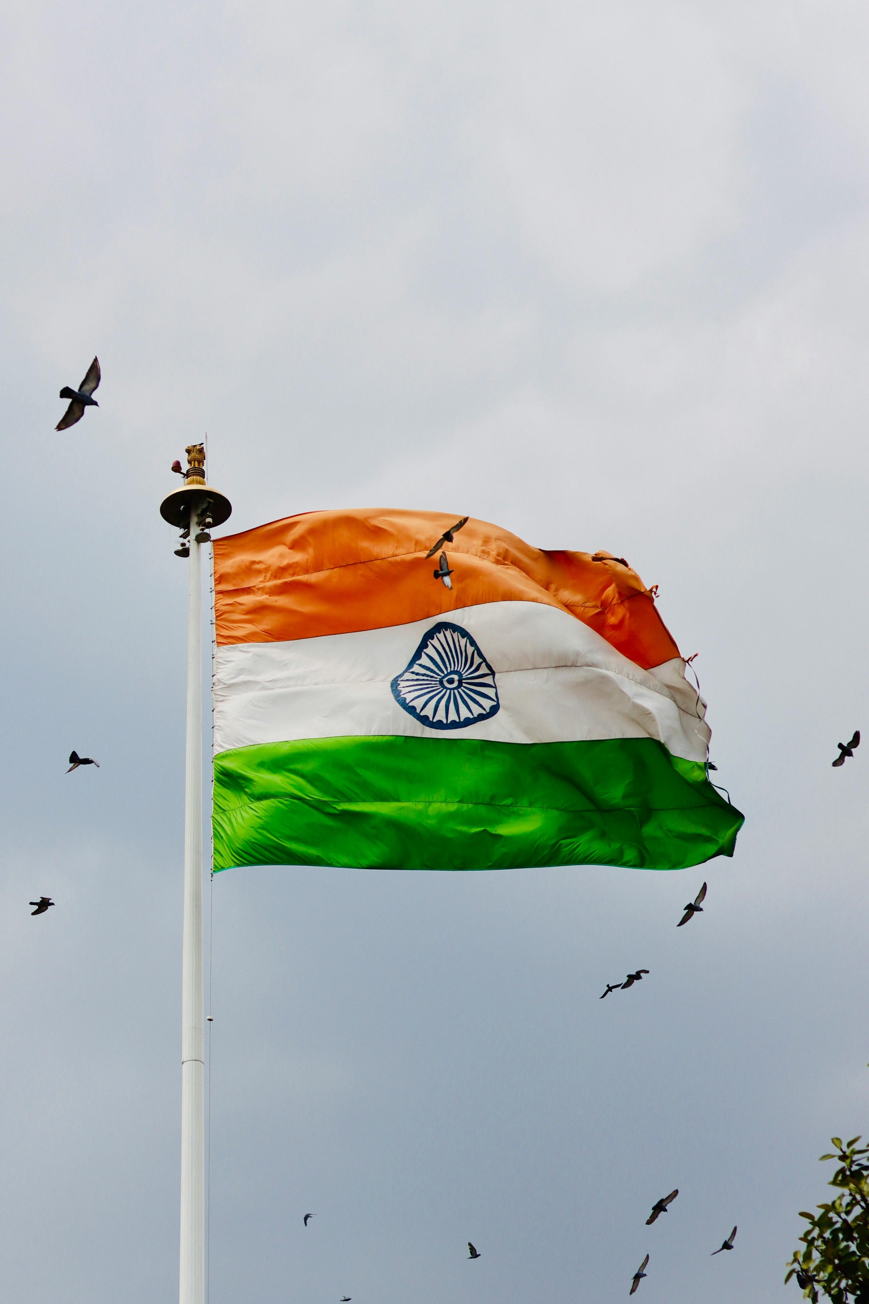 Republic Day Spray Painting Guide