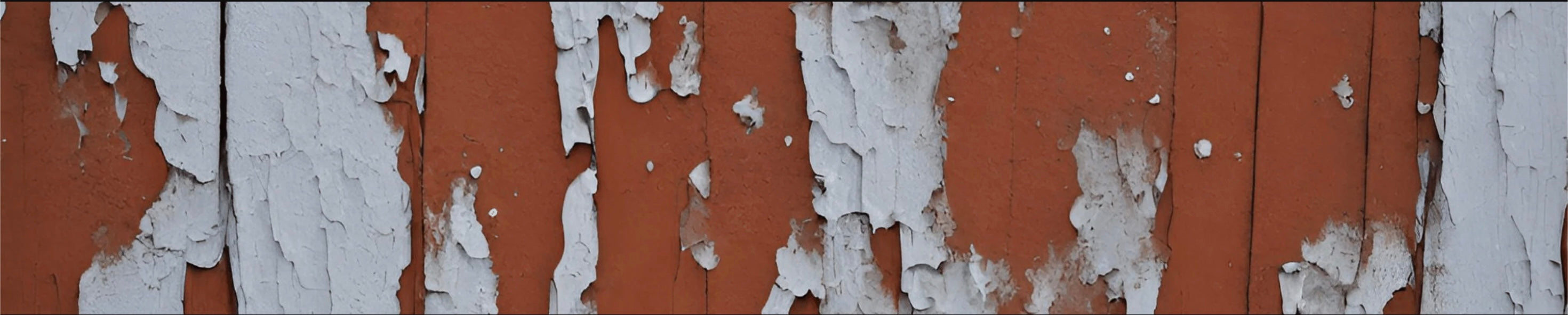 Paint Remover