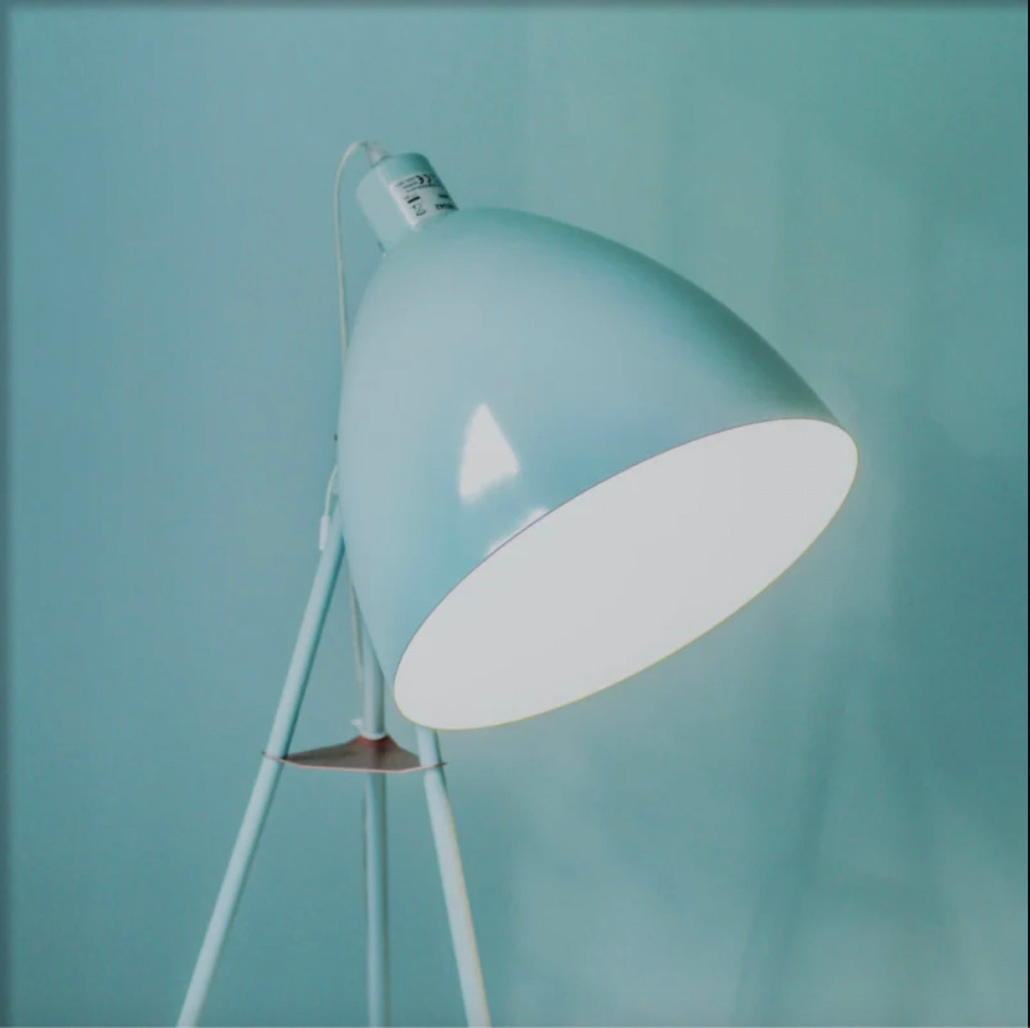 Collection Image